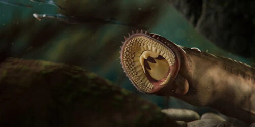 Blood-sucking fish had flesh-eating ancestors