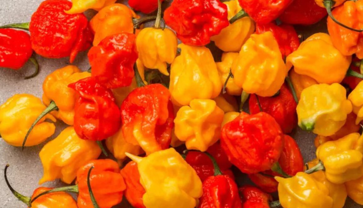 Meet ‘Pepper X,’ the New World’s Hottest Pepper