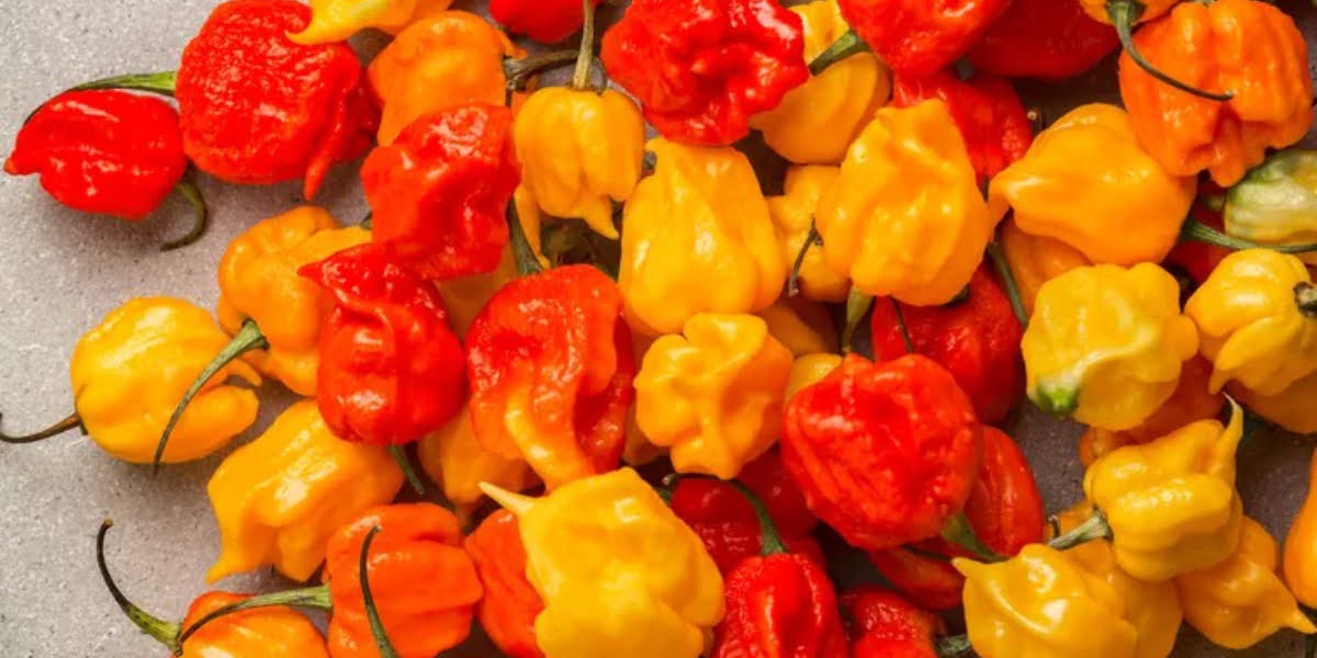 Meet ‘Pepper X,’ the New World’s Hottest Pepper