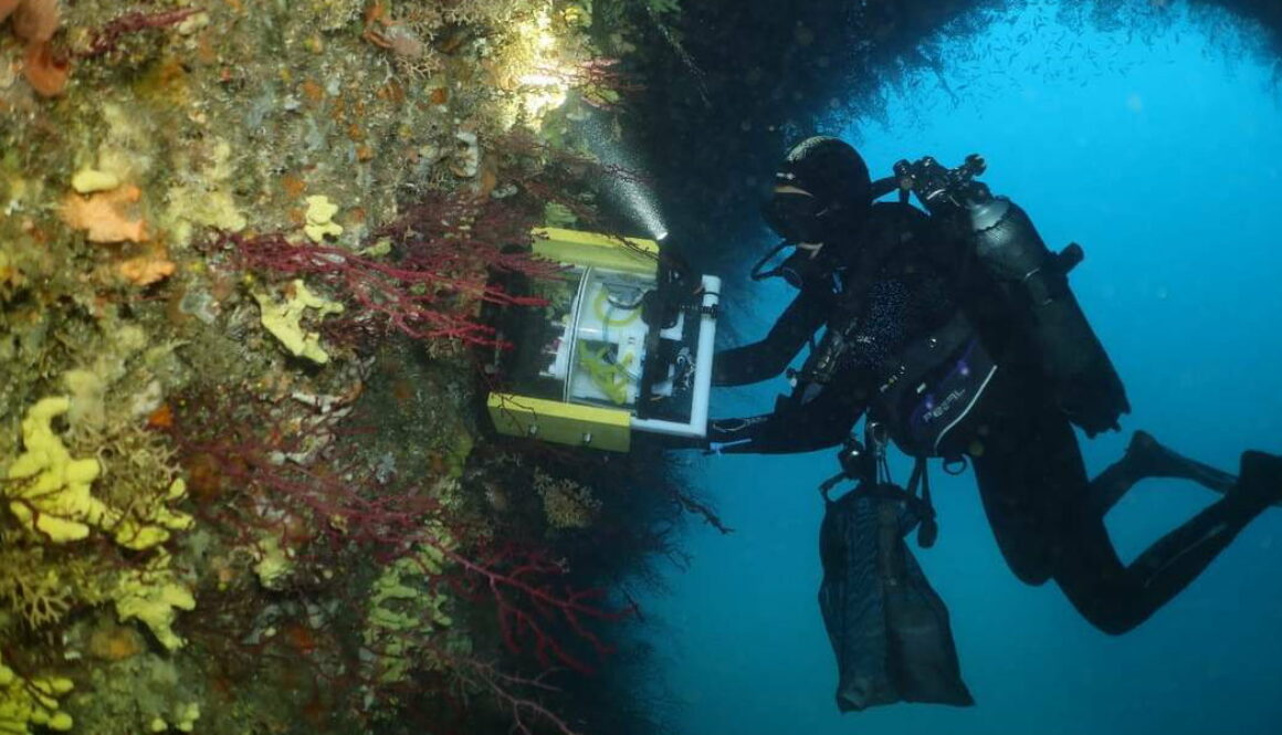 New Medicines May Lie Under the Sea – This Device Sniffs Them Out