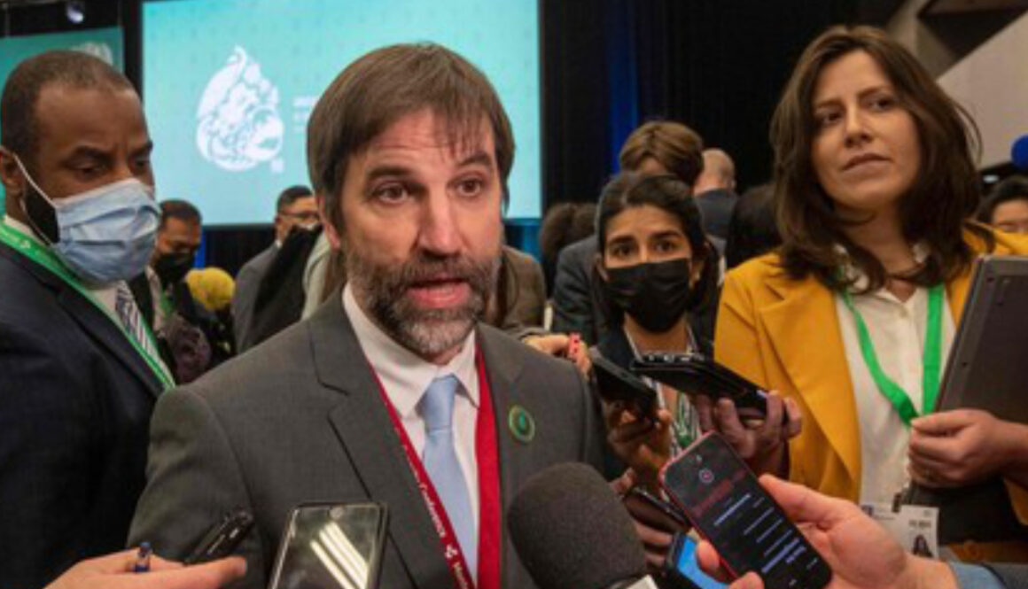 GOLDSTEIN: Meeting UN’s absurd emission targets would bankrupt Canada