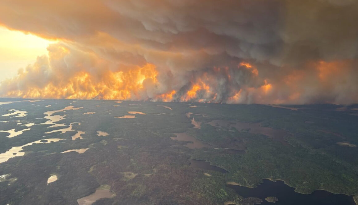 2025-06-08_68451eb7d6fb3_HundredsFromMBFNFleeFires