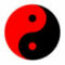 Profile picture of DM Test User